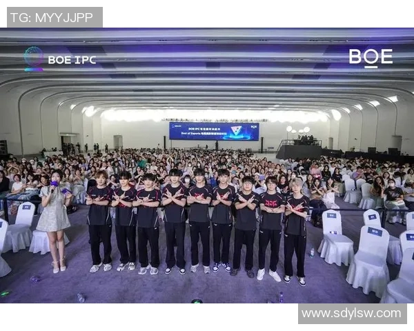 电竞比赛奖金排行榜-电竞比赛奖金排行榜，深度分析与独特观察-电竞比赛奖金排行榜